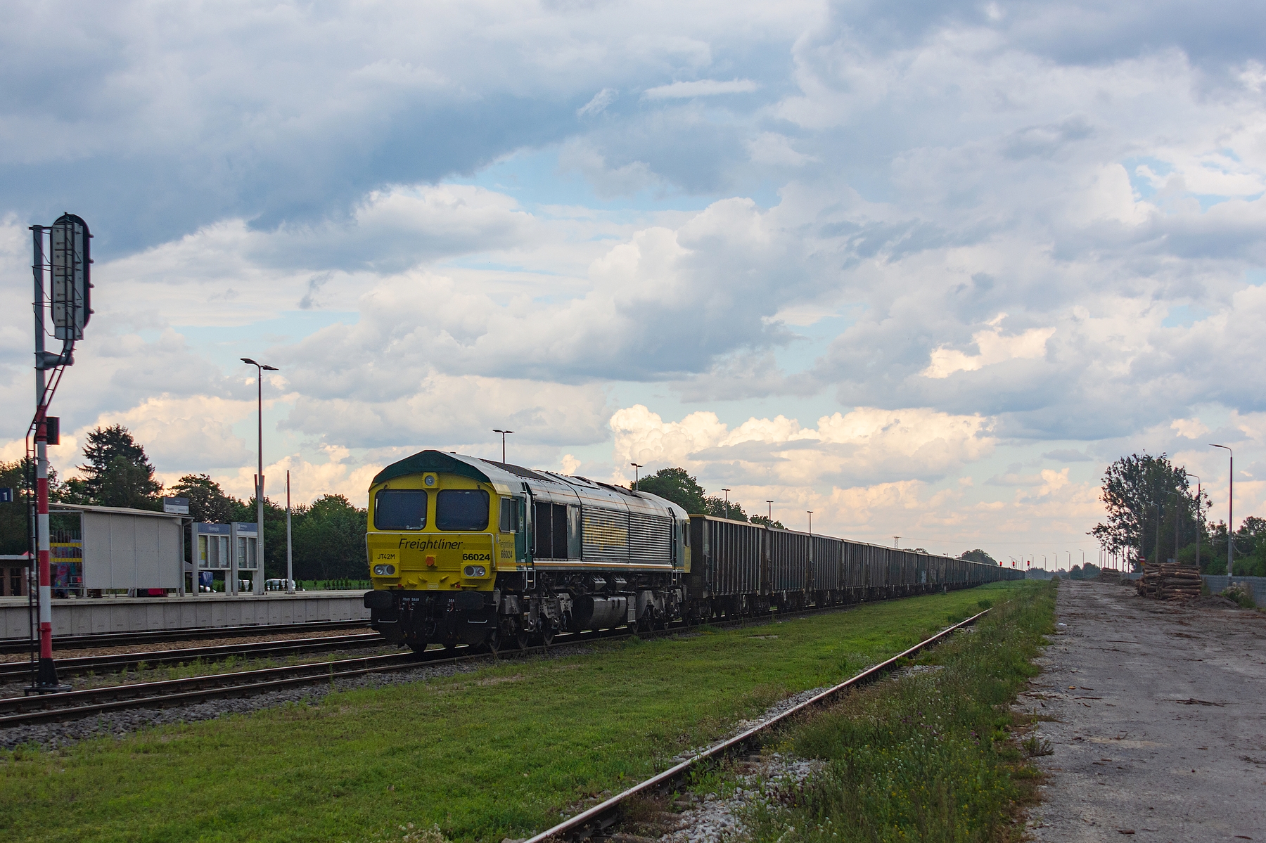 66024