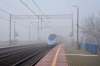 Sz�sty P�drak