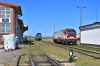 111Ed-086