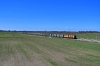 207E-015 + M62-003