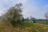 M�ody Kopernik